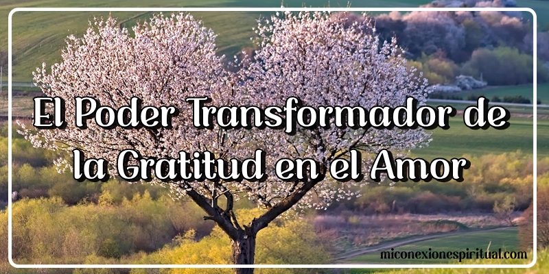 El poder transformador de la gratitud en el amor